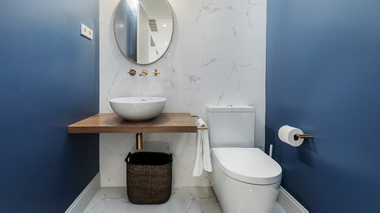 Bathroom with blue side walls