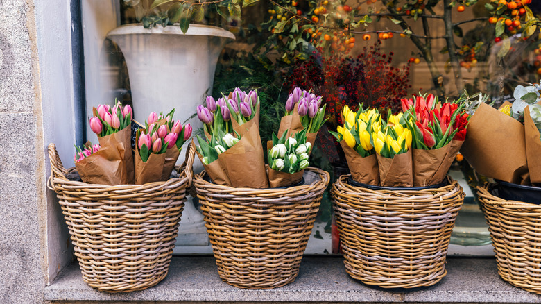 Tulips sitting in baskets outside to be sold.