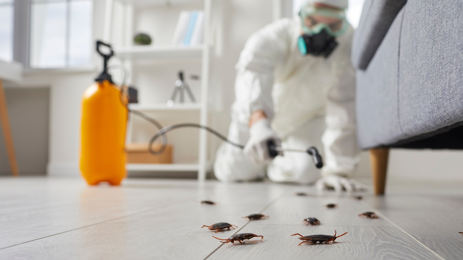 Is Aptive Pest Control Safe To Use? Here's What You Should Know