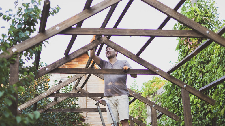man building pergola standing on ladder
