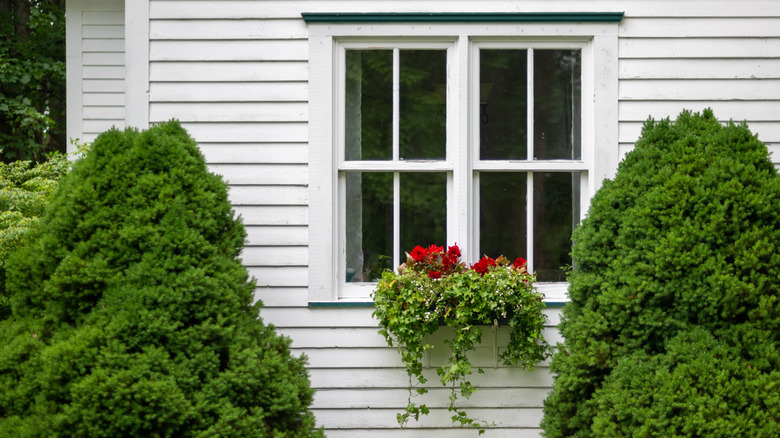 Window box hanging on the outside of a home