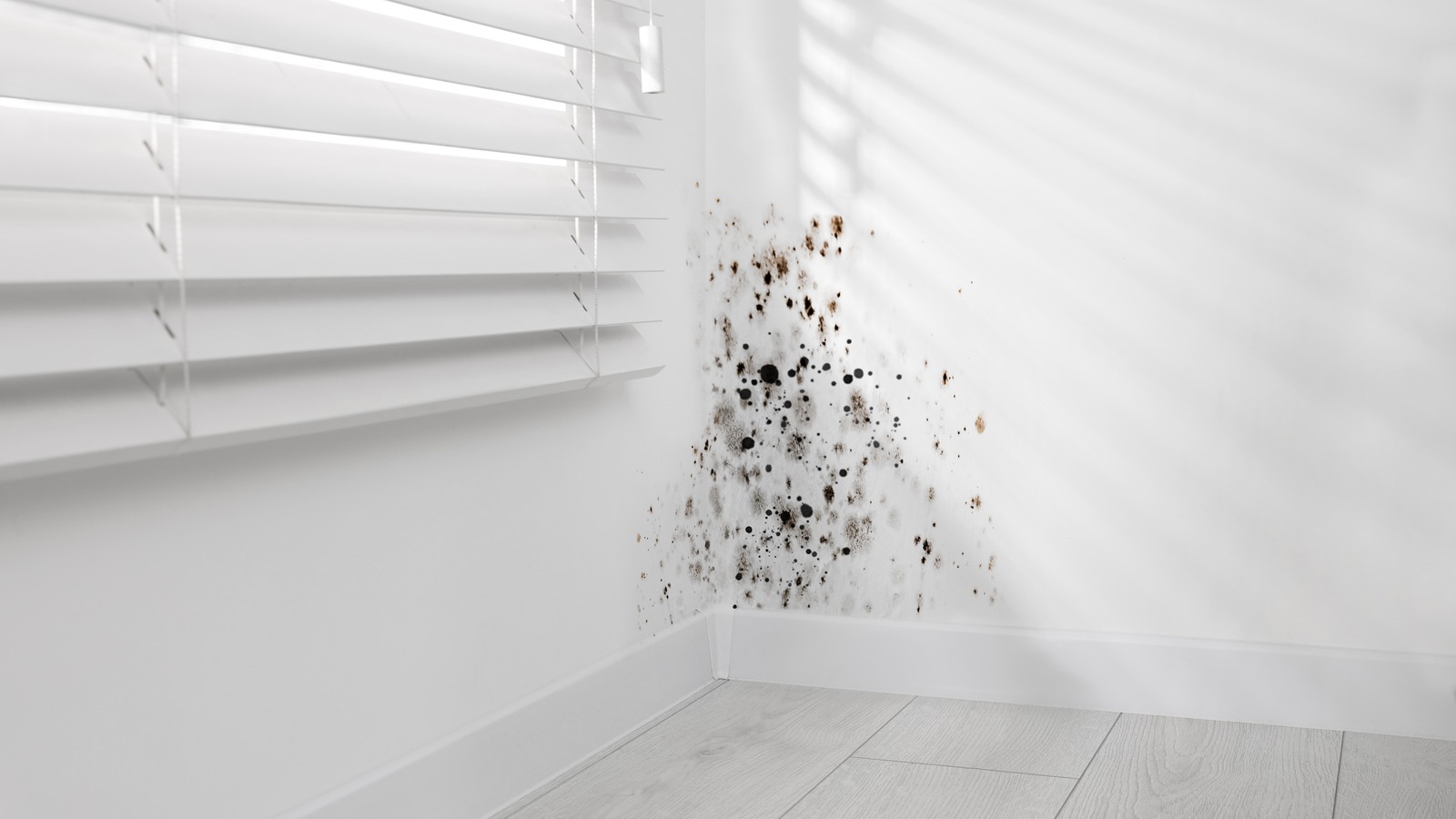 Is Cinnamon The Secret To Banishing Mold From Your Home?