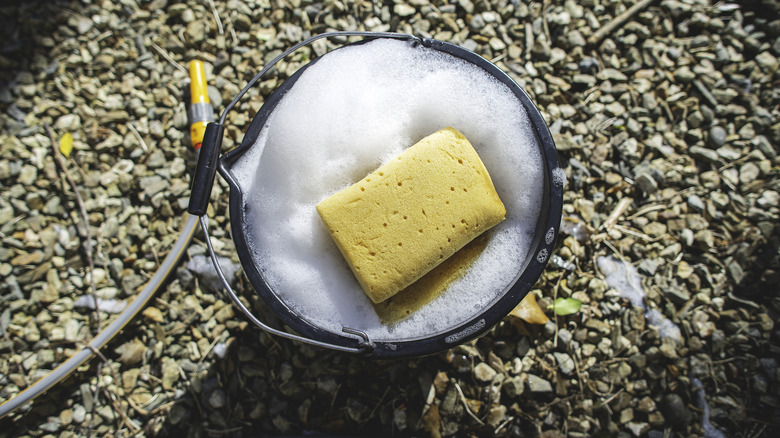 A black plastic bucket sitting atop gravel and next to a hose is filled with soapy water and a sponge.