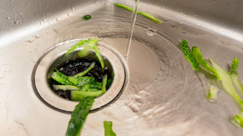 Food scraps entering a garbage disposal in a sink