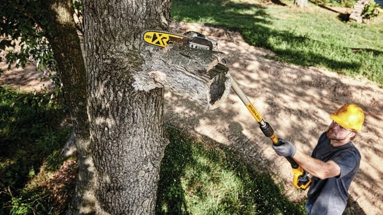 DeWalt pole saw being used high in the tree