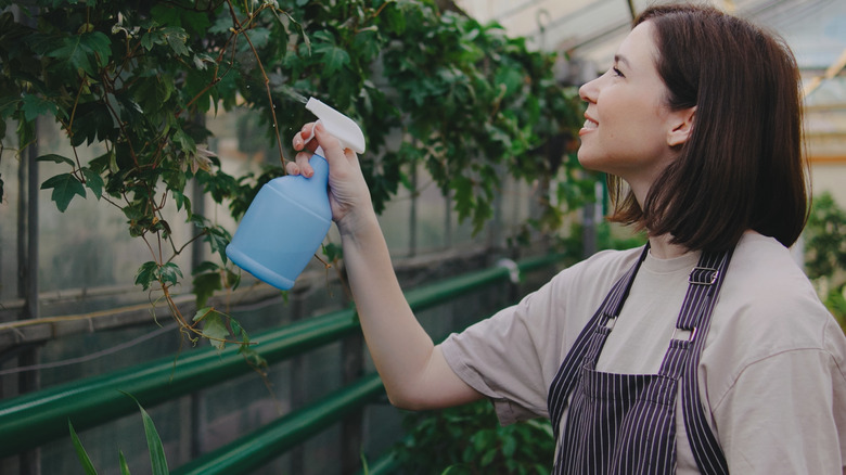a woman spraying plants in a greenhouse