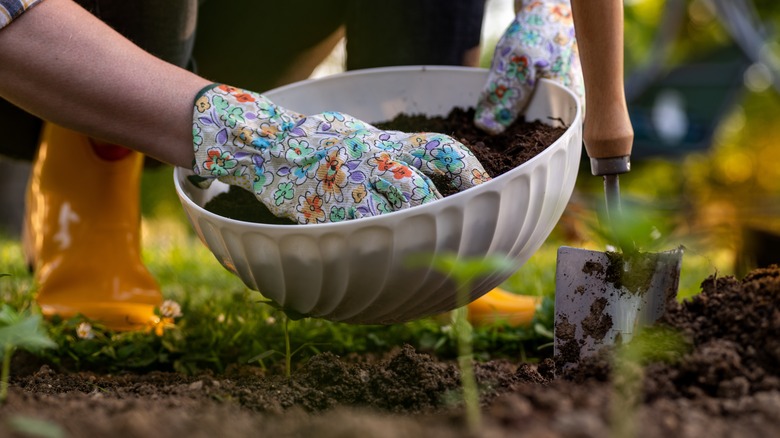 A gardener applies a layer of compost to her garden bed.