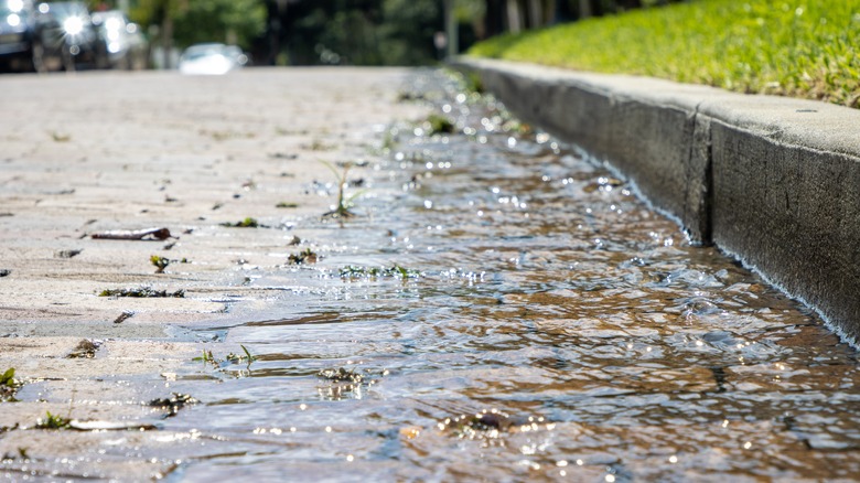 Gutter filled with water runoff