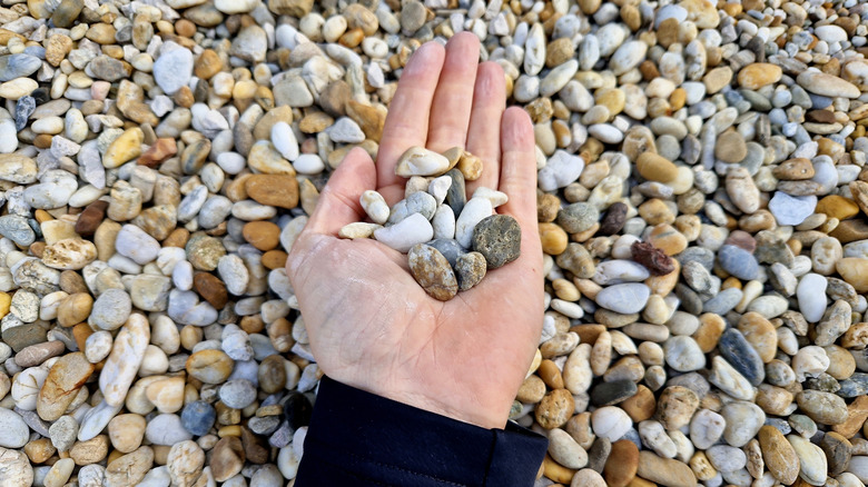 A person holding gravel in their hand