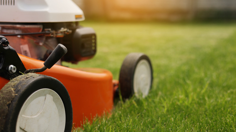 Orange electric Lawn Mower