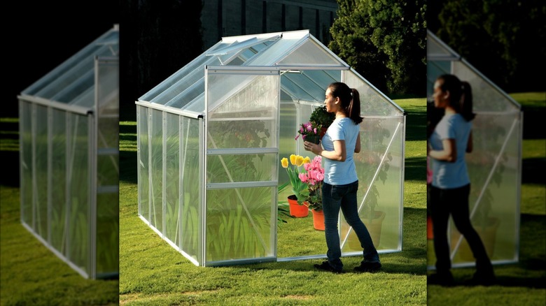 Harbor Freight one stop garden greenhouse