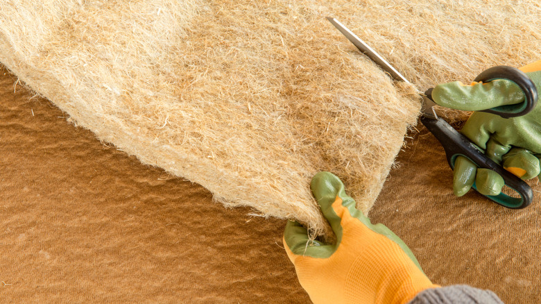 Gloved hands cutting hemp insulation sheet with scissors