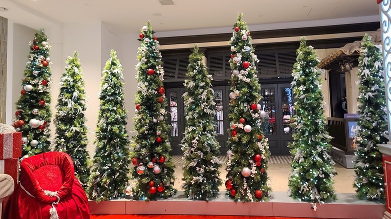 A line of decorated, skinny Christmas trees in a row.