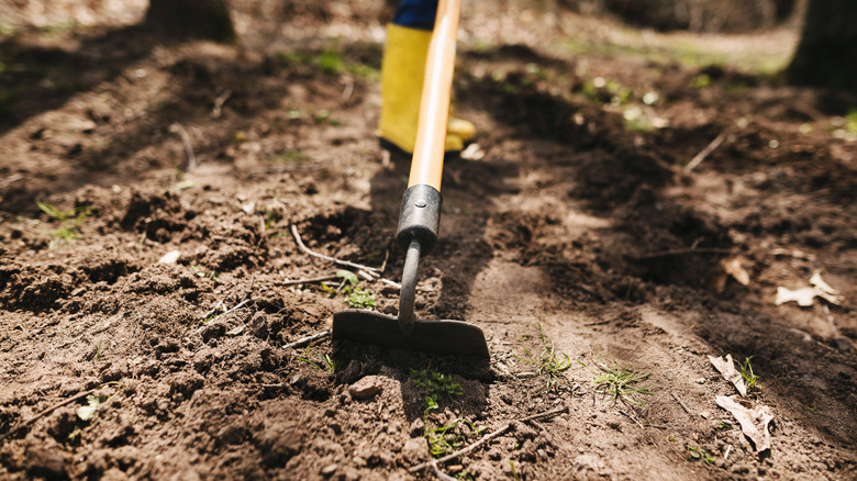 Person using a hoe in a dirt patch