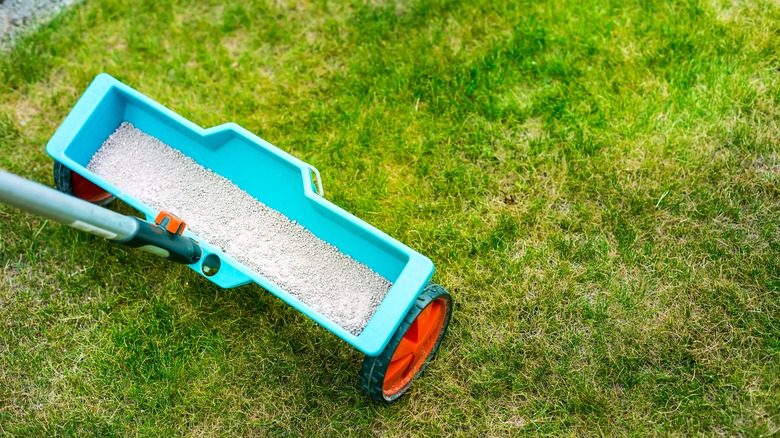 lawn fertilization tool with fertilizer