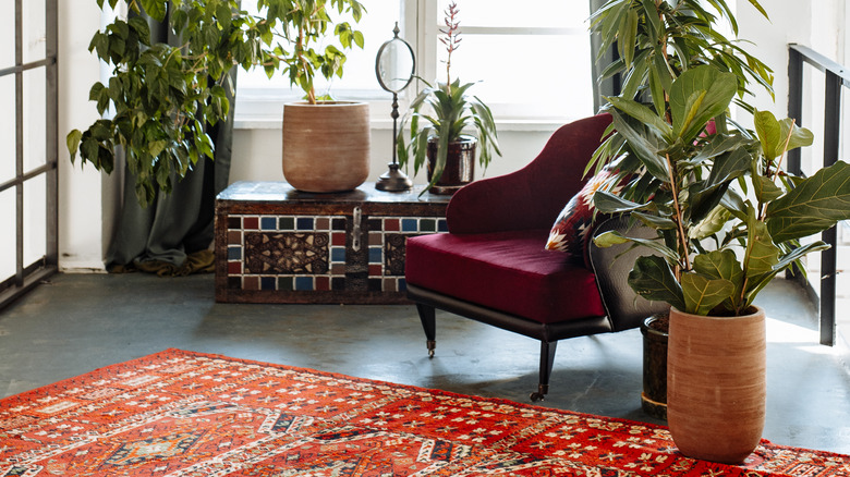 Rug with plants and chair