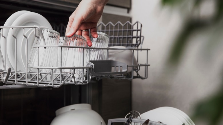 Person loading dishwasher