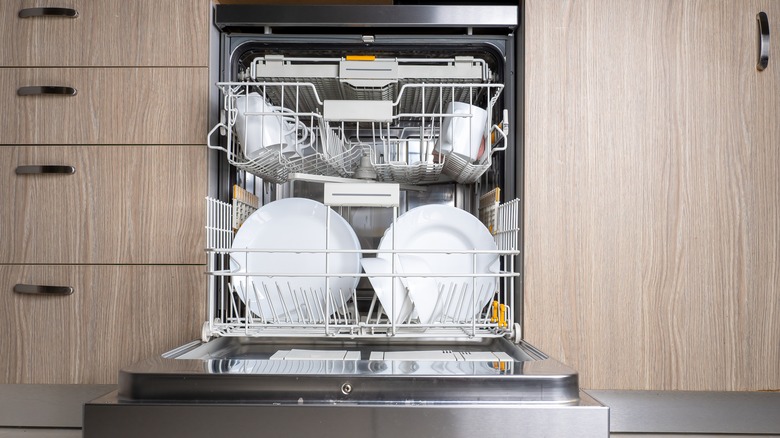 Loaded open dishwasher