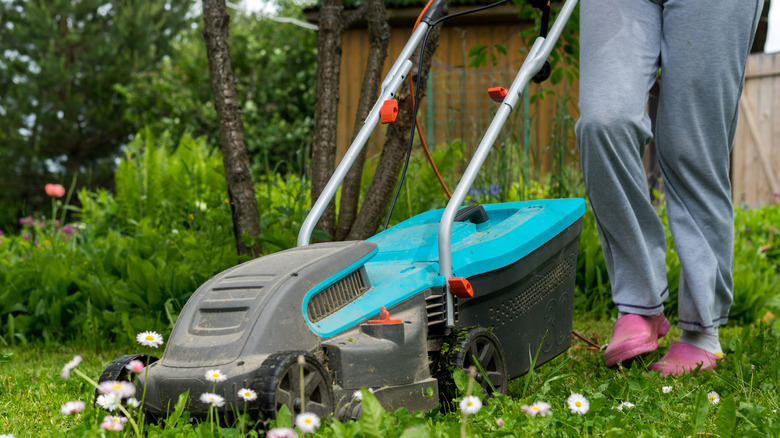 A person mowing a weedy patch of lawn.