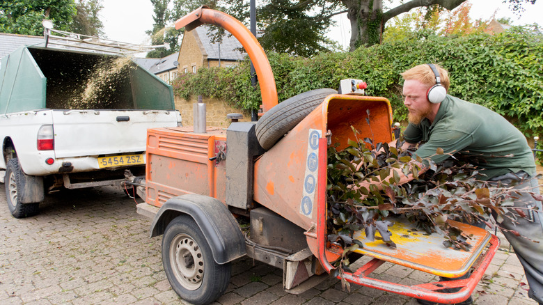 Man feeding branches through wood chipper