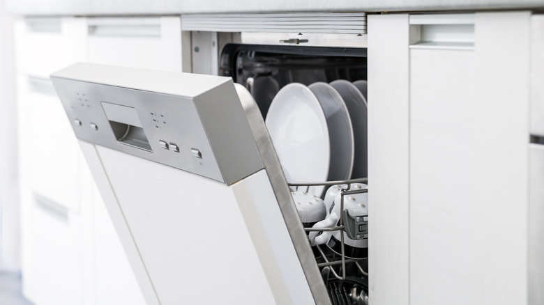 Dishwasher door open for airdrying