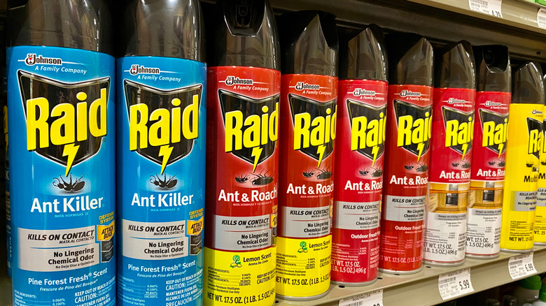 Ant spray on shelf in store