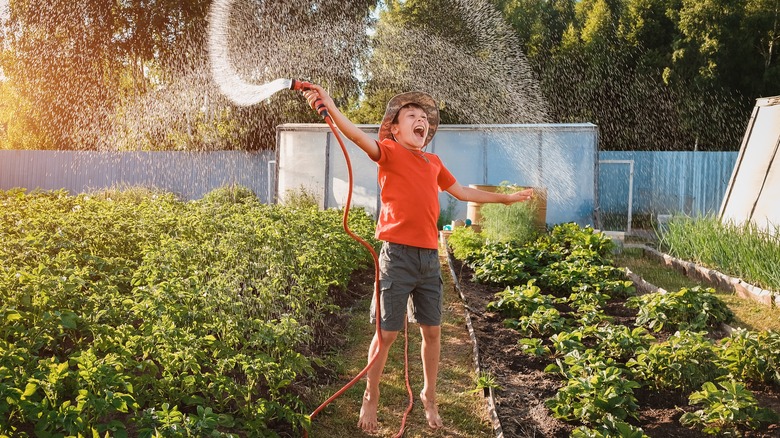 Young boy spraying garden hose