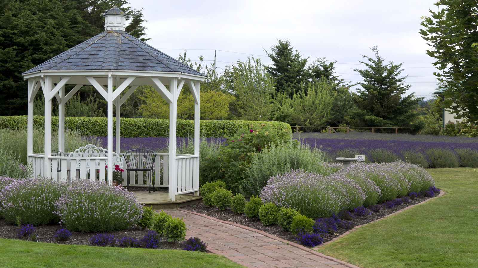 Why DIYing A Backyard Gazebo Is Cheaper Than Buying A Kit Or Custom Type