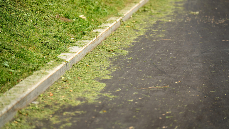 Grass clippings on a road next to a curb
