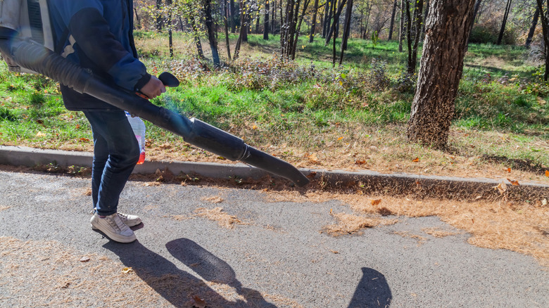 A person blowing dried grass off of a road using a leaf blower