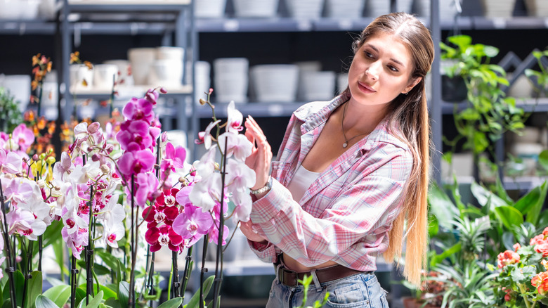 A woman looking at a display of orchid flowers in a garden center