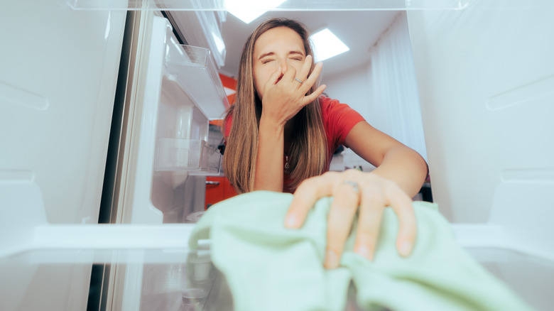 Woman plugging her nose and wiping a fridge shelf