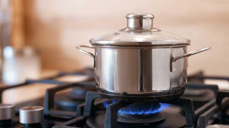 Stainless pot on a gas stove