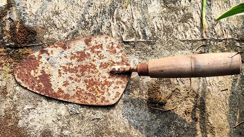 A rusted garden hand trowel rests on a concrete surface