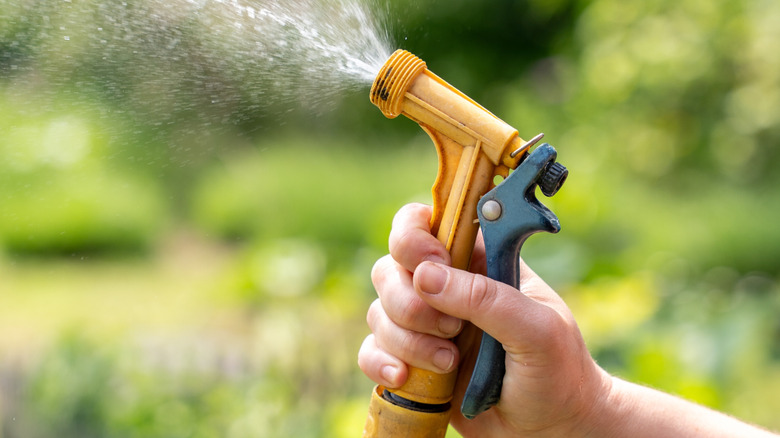 Person spraying.a hose.
