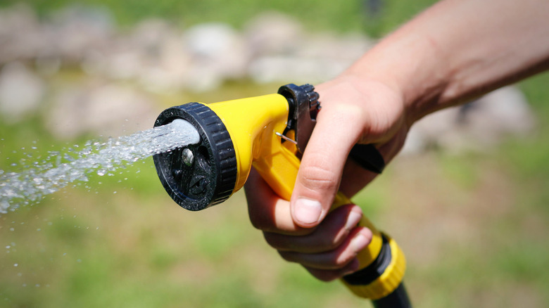 A person sprays a concentrated garden hose