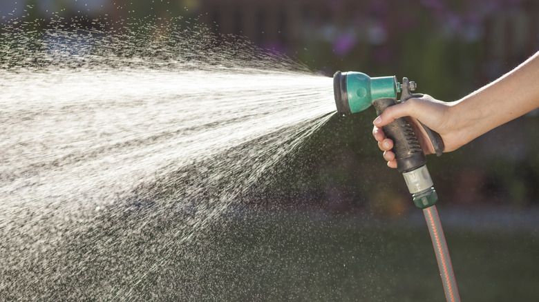 A person spraying a green garden hose