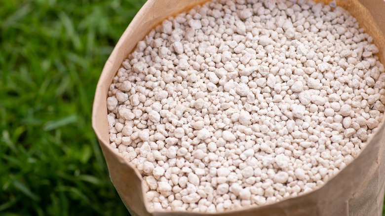 Lawn fertilizer in bag