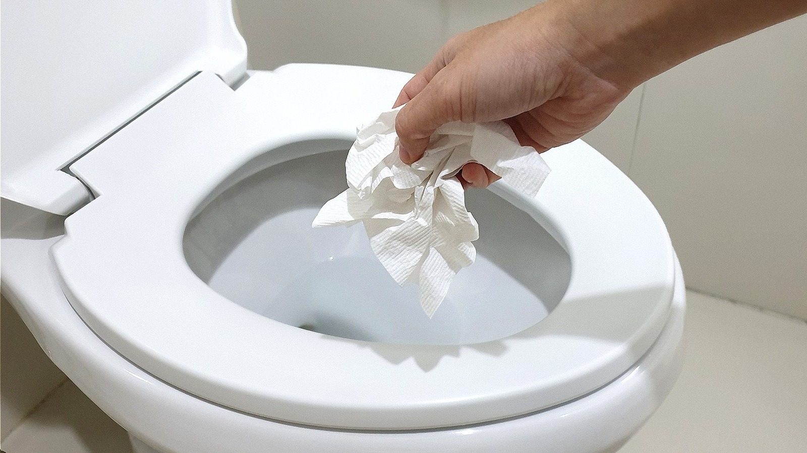 What to Do When You Run Out of Toilet Paper - What Can You Flush?