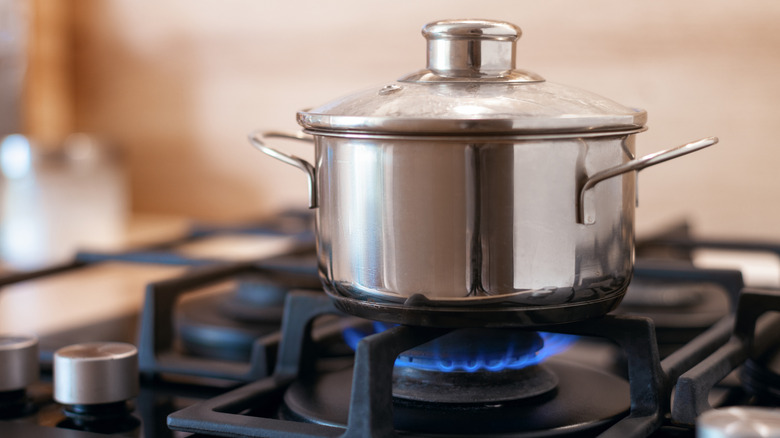 A stainless steel pot on a gas hob