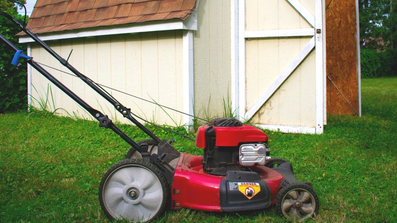 A red and black lawn mower with a shed in the background