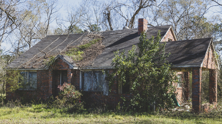 neglected brick house with overgrown bushes