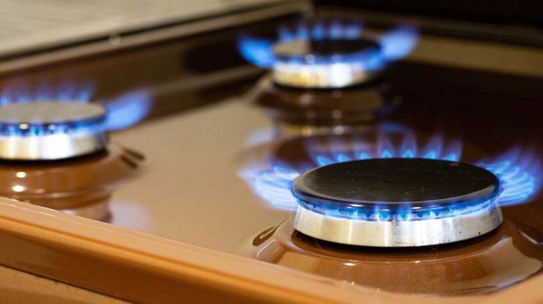 Gas stove burners with flames on