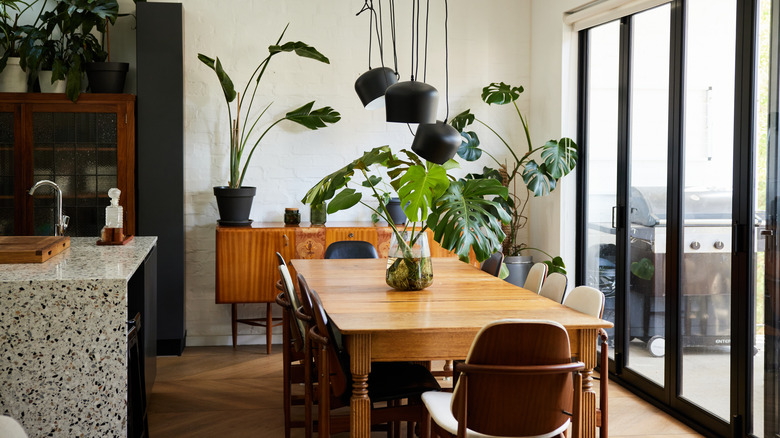 Dining room with houseplants