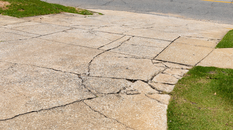 cracks in concrete driveway
