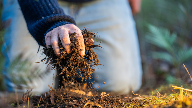 Hand holding soil and dropping it onto the ground