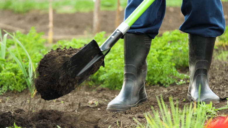 A man digging a trench in soil