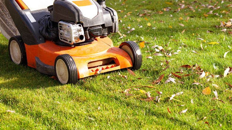 Orange lawn mower on a half-mowed lawn with some leaves