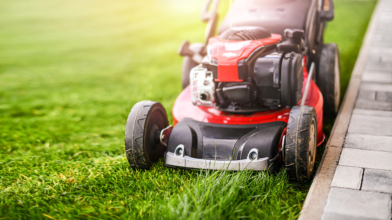 Lawn mower cutting grass