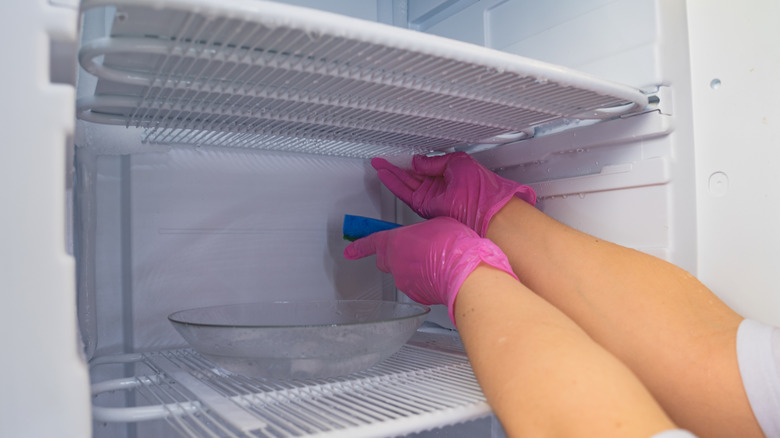 hands with pink latex gloves cleaning a defrosted freezer